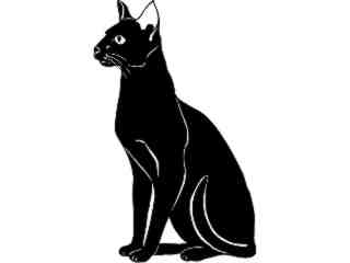  Cats_ Havana_ 1 3 1_ V A 1 Decal Proportional