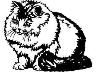  Cats_ Persian Smoke_ 1 3 1_ V A 1 Decal Proportional