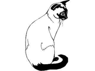  Cats_ Siamese 1_ 1 3 1_ V A 1 Decal Proportional