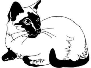  Cats_ Siamese 2_ 1 3 1_ V A 1 Decal Proportional