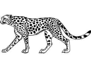  Cheetah Beauty Decal Proportional