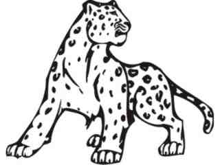  Cheetah Leopard Animal Wild_ 0 0 7a Decal Proportional