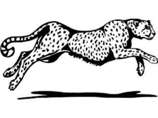  Cheetah Run Decal Proportional