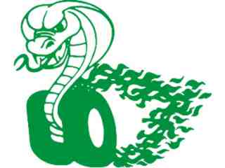  Cobra Racing Decal Proportional