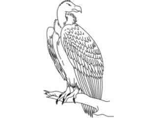  Condor Bird_ 1 7 8_ D T L Decal Proportional