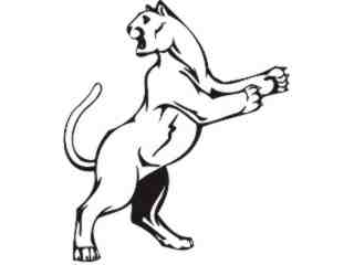  Cougar Animal Wild_ 0 0 9a Decal Proportional