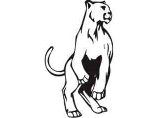  Cougar Animal Wild_ 0 1 2a Decal Proportional
