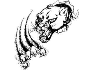  Cougar Panther Claw Out_ M B 1_ D T L Decal Proportional