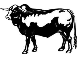 Cows_ Africaner Bull_ 1 3 3_ V A 1 Decal Proportional