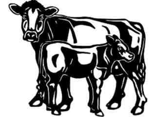  Cows_ Brown Swiss_ 1 3 3_ V A 1 Decal Proportional