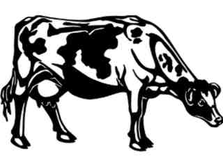 Cows_ Holstein 2_ 1 3 3_ V A 1 Decal Proportional