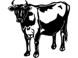  Cows_ Jersey 2_ 1 3 3_ V A 1 Decal Proportional