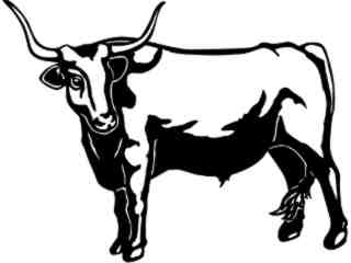  Cows_ Longhorn_ 1 3 3_ V A 1 Decal Proportional