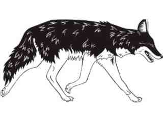  Coyote_ 1 4 5_ V A 1 Decal Proportional