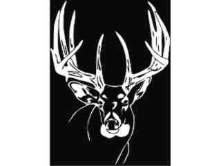  Deer Buck 0 7_ I N V Decal Proportional