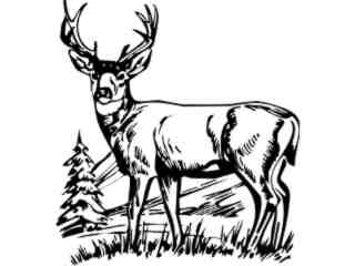  Deer Buck 0 8 Decal Proportional