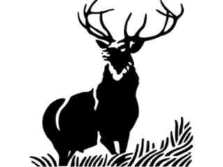  Deer In Grass Decal Proportional