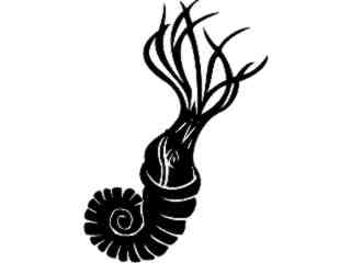  Dinosaurs_ Ammonite_ 1 3 5_ V A 1 Decal Proportional