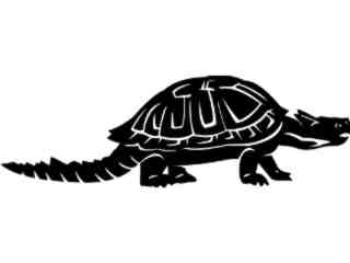  Dinosaurs_ Meiolania_ 1 3 5_ V A 1 Decal Proportional