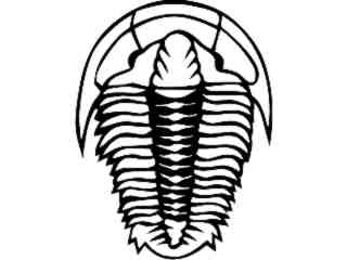  Dinosaurs_ Trilobite_ 1 3 5_ V A 1 Decal Proportional