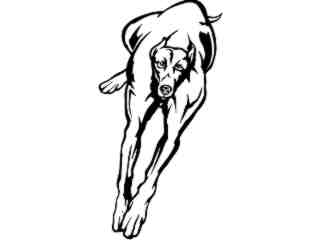  Dog Greyhound Run_ M B 1 Decal Proportional