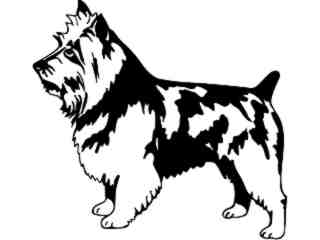 Dogs_ Australian Terrior_ 1 3 7_ V A 1 Decal Proportional