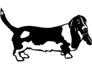  Dogs_ Bassett Hound 0 2_ P A 1 Decal Proportional