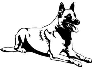  Dogs_ Belgian Malinois 0 2 D R_ P A 1 Decal Proportional
