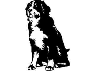  Dogs_ Bernese Mountain Dog 0 1 D R_ P A 1 Decal Proportional