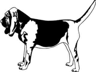  Dogs_ Bloodhound_ 1 3 7_ V A 1 Decal Proportional