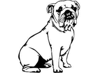  Dogs_ Bulldog D R_ P A 1 Decal Proportional