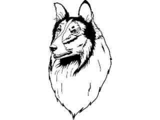  Dogs_ Collie T G_ P A 1_ D T L Decal Proportional