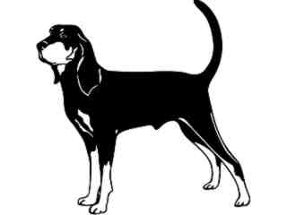  Dogs_ Coon Hound_ 1 3 7_ V A 1 Decal Proportional
