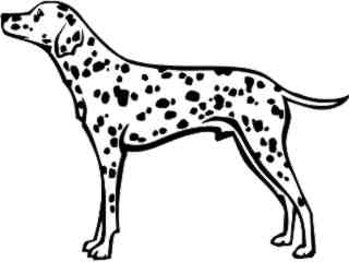  Dogs_ Dalmatian_ P A 1 Decal Proportional