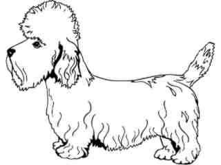  Dogs_ Dandie Dinmont Terrier_ 1 3 7_ V A 1 Decal Proportional