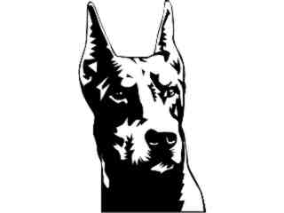  Dogs_ Doberman D R_ P A 1 Decal Proportional