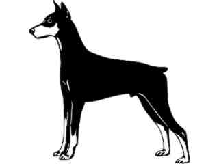  Dogs_ Doberman Pinscher_ 1 3 7_ V A 1 Decal Proportional