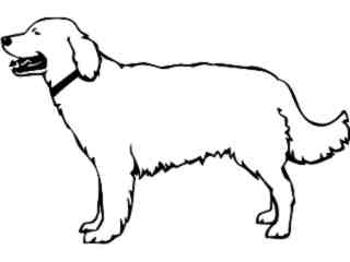  Dogs_ Golden Retreiver 0 2_ P A 1 Decal Proportional
