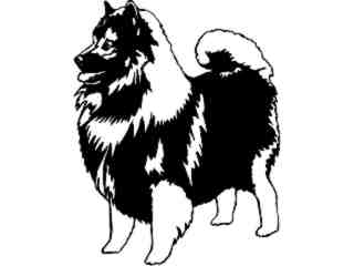  Dogs_ Keeshond_ 1 3 6_ V A 1 Decal Proportional