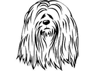  Dogs_ Lhasa Apso_ P A 1 Decal Proportional