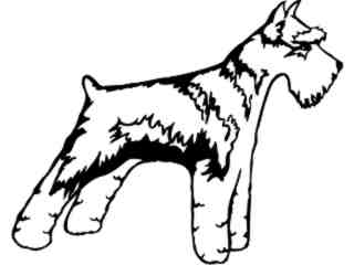  Dogs_ Miniature Schnauzer_ 1 3 6_ V A 1 Decal Proportional