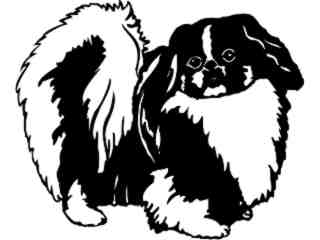  Dogs_ Pekingese_ 1 3 6_ V A 1 Decal Proportional