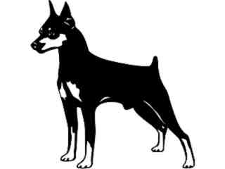  Dogs_ Pinscher Miniature_ 1 3 7_ V A 1 Decal Proportional