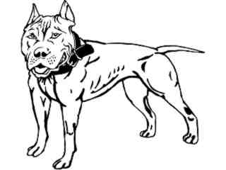  Dogs_ Pitbull 0 1 D H_ P A 1 Decal Proportional