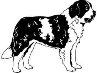  Dogs_ Saint Bernard_ 1 3 7_ V A 1 Decal Proportional