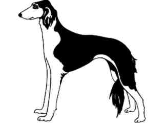  Dogs_ Saluki_ 1 3 7_ V A 1 Decal Proportional