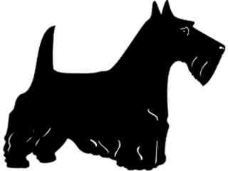  Dogs_ Scottish Terrior_ 1 3 6_ V A 1 Decal Proportional
