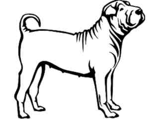  Dogs_ Shar_ Pei_ P A 1 Decal Proportional