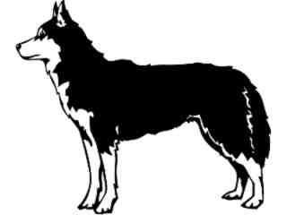  Dogs_ Siberian Husky 0 1_ P A 1 Decal Proportional