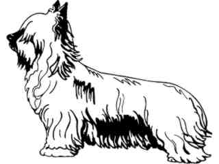 Dogs_ Skye Terrier_ 1 3 7_ V A 1 Decal Proportional